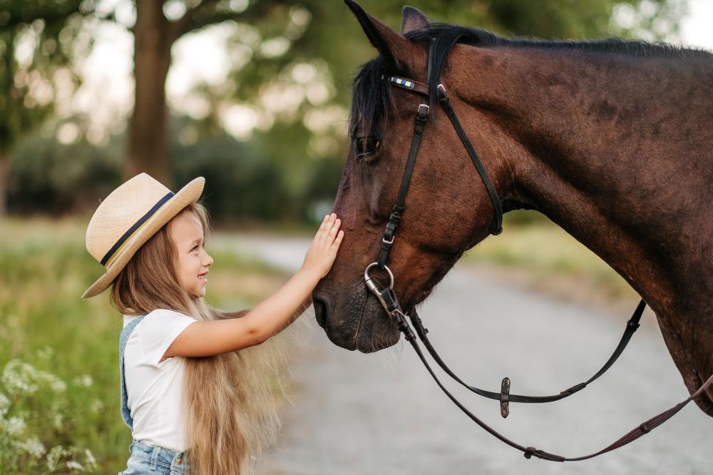 ferrure de cheval