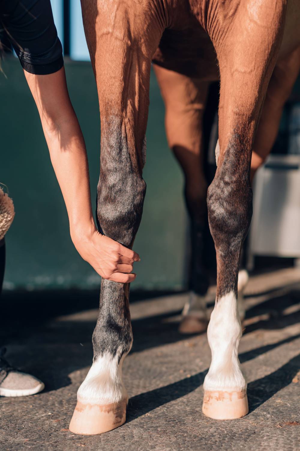 soin orthopédique