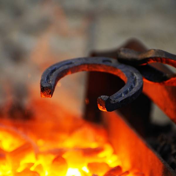 forge fer à cheval